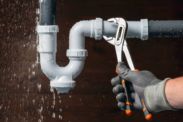 Professional Plumbing technician working in Elfers, FL